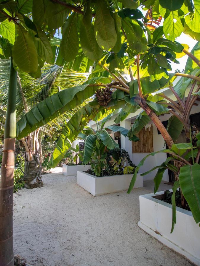 Tropical Oasis Boutique Hotel Michamvi Kae Luaran gambar